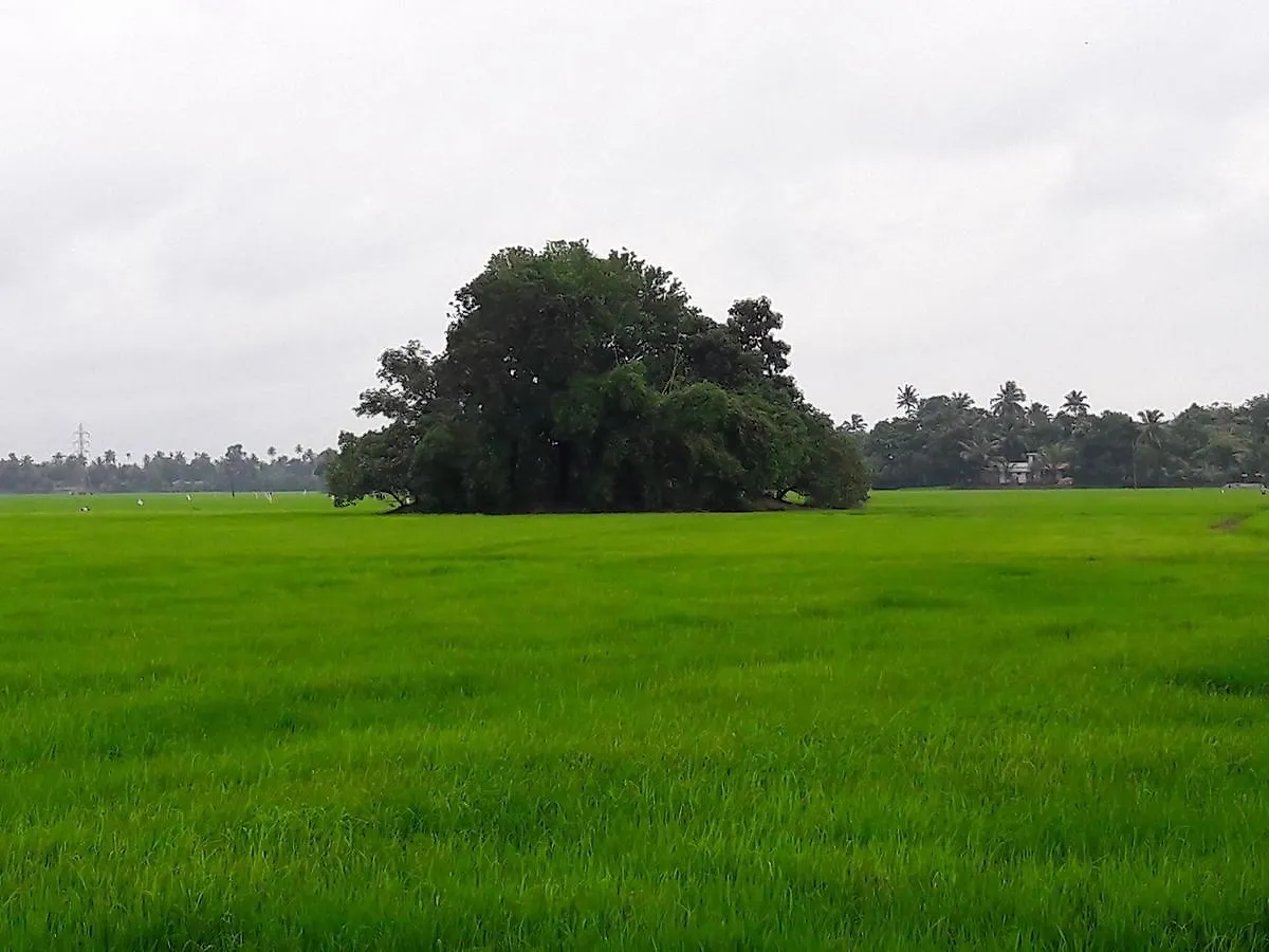 Sreelakam Stay In Alappuzha 0*,  India